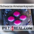 Black Ant Capsules 02
